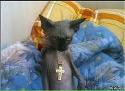 Фотография Сергей Коровин