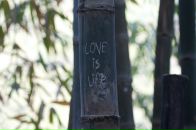 Фотография Вяткина Юрия