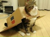 Фотография Шиманской Анастасии