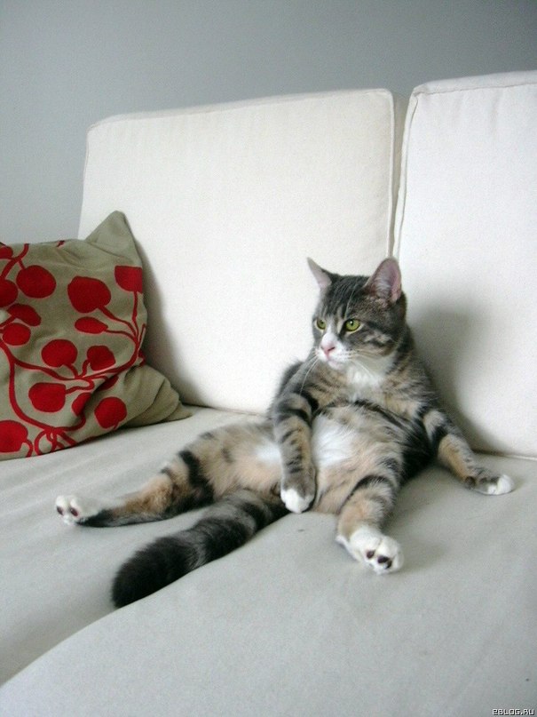 Ян Петров фотография #26