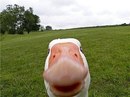 Галя Іванова фотография #1
