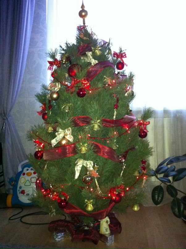 Антон Башловка фотография #42