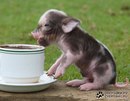 Фотография Докукиной Кати
