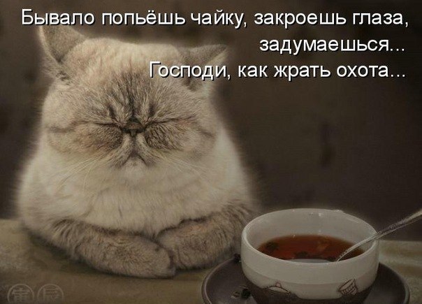 №4, Ольга Иванова №4, Ольга Иванова