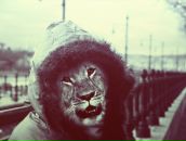 Фотография Оводовой Татьяны