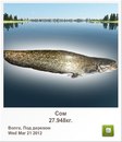Тарас Гуржій фотография #6 (источник - https://vk.com/id156001958)