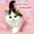 Ірина Каспрук фотография #44 (источник - https://vk.com/id159345337)