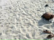 Александр--і Туликов фотография #15 (источник - https://vk.com/id2842467)