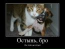 Міша Жолобчук фотография #19 (источник - https://vk.com/id135780781)