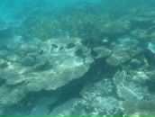 Андрій Дубік фотография #34 (источник - https://vk.com/id3981295)