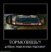  фотография #45