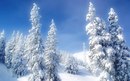Міша Фетько фотография #25 (источник - https://vk.com/id157059975)