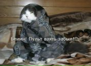 Victoria Ko фотография #50 (источник - https://vk.com/id2831246)