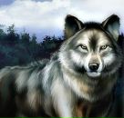 Андрій Стецьків фотография #14 (источник - https://vk.com/id65303302)