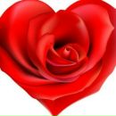 Іванка Ямельницька фотография #24 (источник - https://vk.com/id158464229)