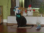 Igor Tarasov фотография #46 (источник - https://vk.com/id2694271)