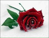 Ігор Юрчак фотография #22 (источник - https://vk.com/id66010410)