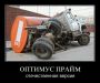  фотография #10