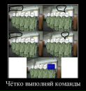 Дима Вегера фотография #17 (источник - https://vk.com/id27534833)