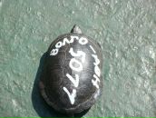 Фотография Катаного Юры