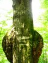 Андрій Ломакін фотография #33 (источник - https://vk.com/id11376684)