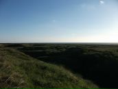 Сергій Алєнічев фотография #33 (источник - https://vk.com/id14559452)