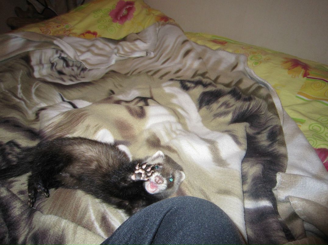 Sergey Serkov фотография #49