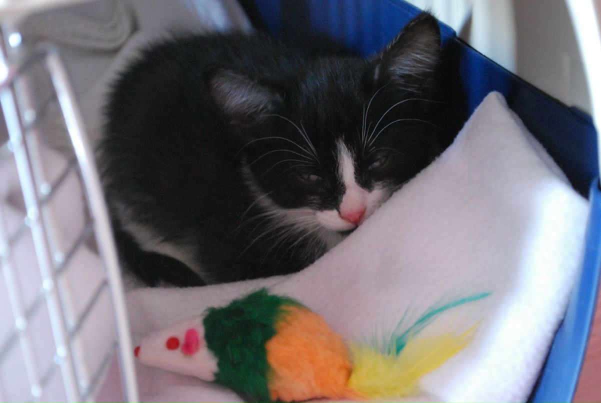 Сергей Жук фотография #44