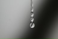 Фотография Чехомова Юлия