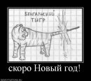 Фотография Бокова Тимура