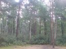 Сергій Баховський фотография #9 (источник - https://vk.com/id30178105)