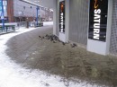 Сердар Суиндыков фотография #37 (источник - https://vk.com/id1645946)