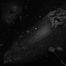 Фотография Новгородского Дмитрия