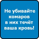 Вова Євдокименко фотография #45 (источник - https://vk.com/id84363930)