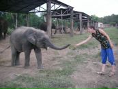 Фотография Джай Ирины