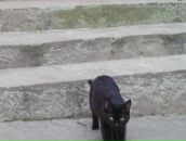 Фотография Еньшиной Мариночки