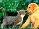 Фотография Умерова Эрнеста