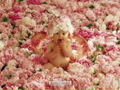 Ірина Ліхачова фотография #17 (источник - https://vk.com/id133957626)