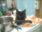 Софья Будылева фотография #29 (источник - https://vk.com/id1793972)