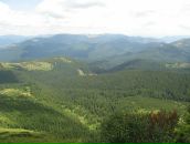 Тарас Кіндій фотография #38 (источник - https://vk.com/id18097609)