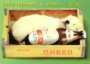 Фотография Носова Елена