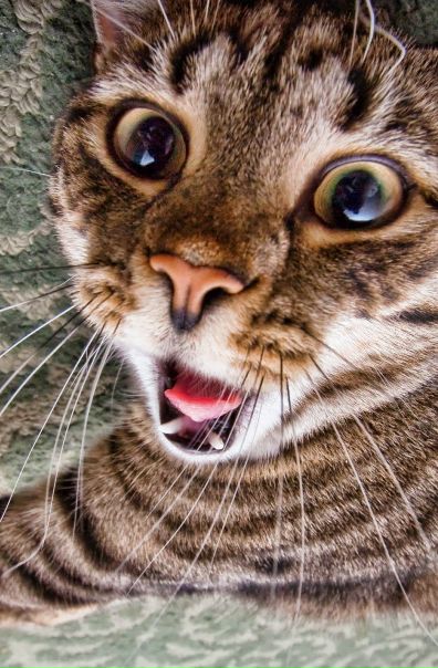 Игорь Близниченко фото №9