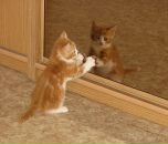 Іннулічка Пономаренко фотография #6 (источник - https://vk.com/id89638455)