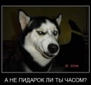 Ірина Федоренко фотография #40 (источник - https://vk.com/id19467268)