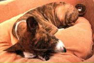 Дмитрий Шингарев фотография #15 (источник - https://vk.com/id770622)