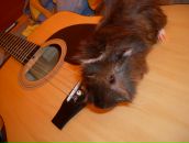 Фотография Галявеевой Гузель