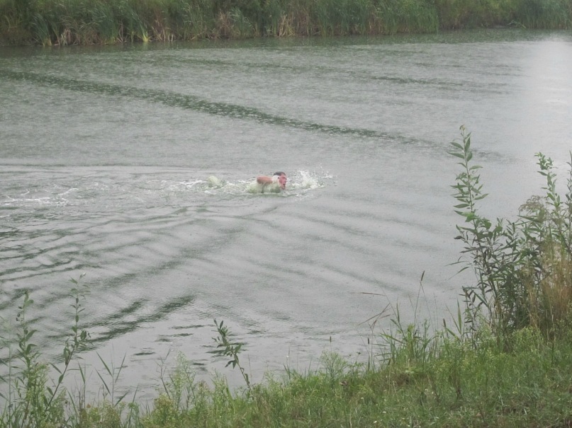 Сергей Маценко фотография #48