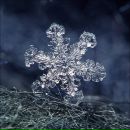 Фотография Шук Зои