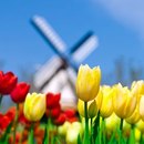 Ірина Корсун фотография #6 (источник - https://vk.com/id163280102)