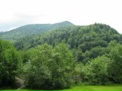 Александр Поліщук фотография #26 (источник - https://vk.com/id9517536)